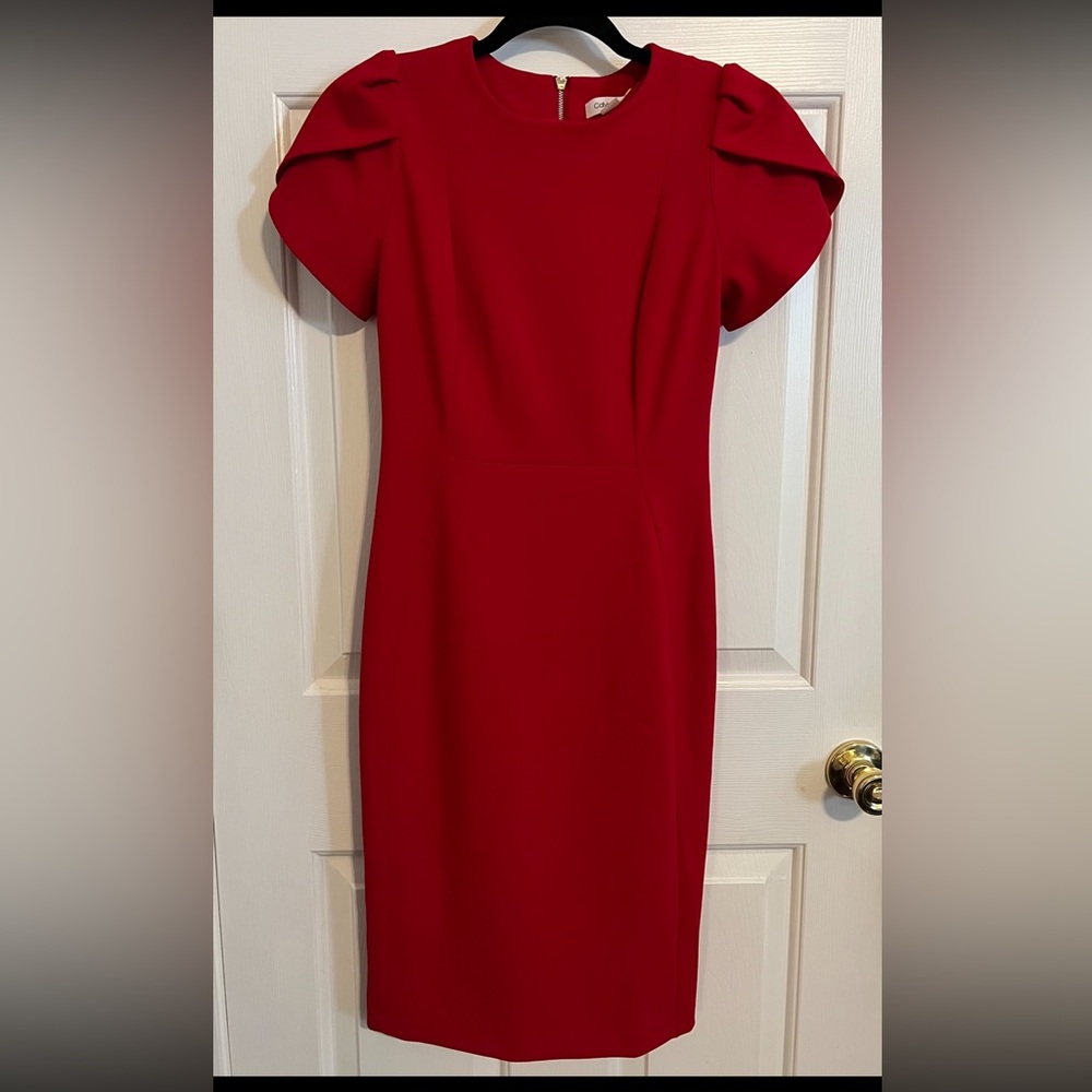 Calvin Klein Tulip Sleeve Dress